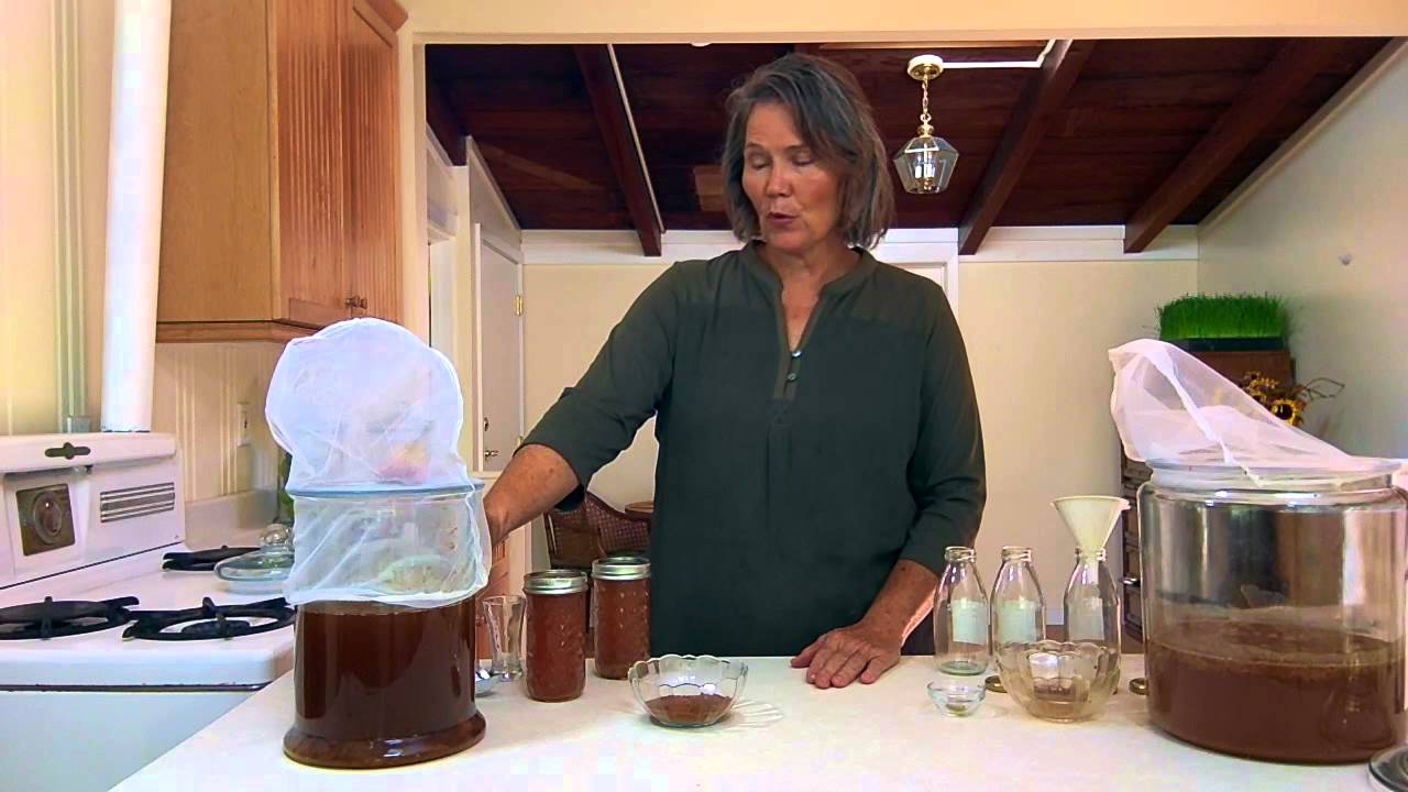 How to make a probiotic Tea