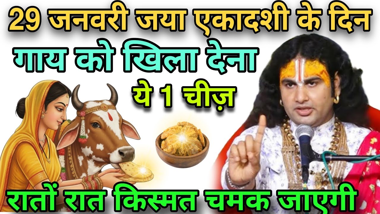 29 January 2026 जया एकादशी के दिन चुपचाप गाय को खिला देना, यह 1 चीज रातों-रात किस्मत चमक जाएगीupay