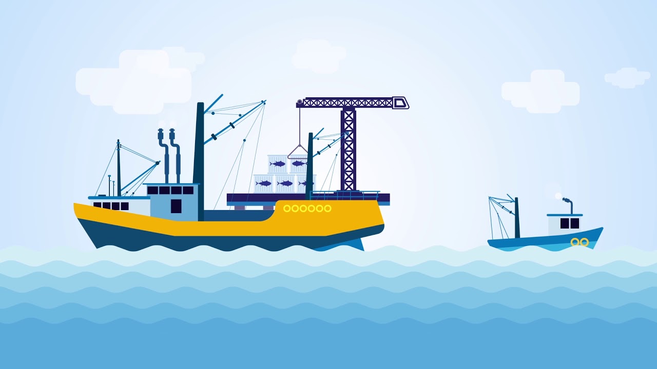 What is Transshipment?