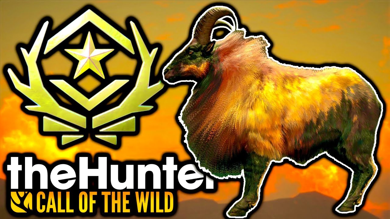 I *CANNOT* BELIEVE THIS! FABLED GOLD *GREAT ONE* TAHR ON SUNDARPATAN IN THE HUNTER CALL OF THE WILD!