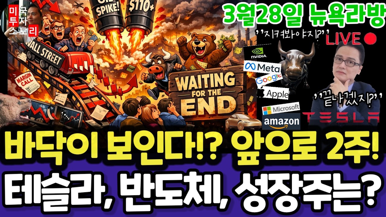 미국주식/이란전쟁 바닥?앞으로2주! (편집본)테슬라 엔비디아 구글 애플 아마존 메타 마소 팔란티어 아이온큐 삼성전자 MU 브로드컴 오라클 코어위브 네비우스 샌디스크 비트코인 금은