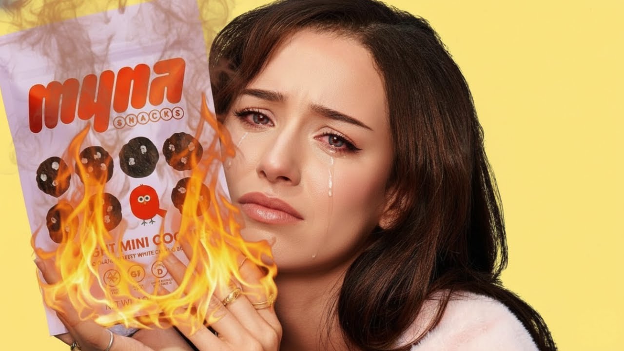 Pokimane Deleted Everything