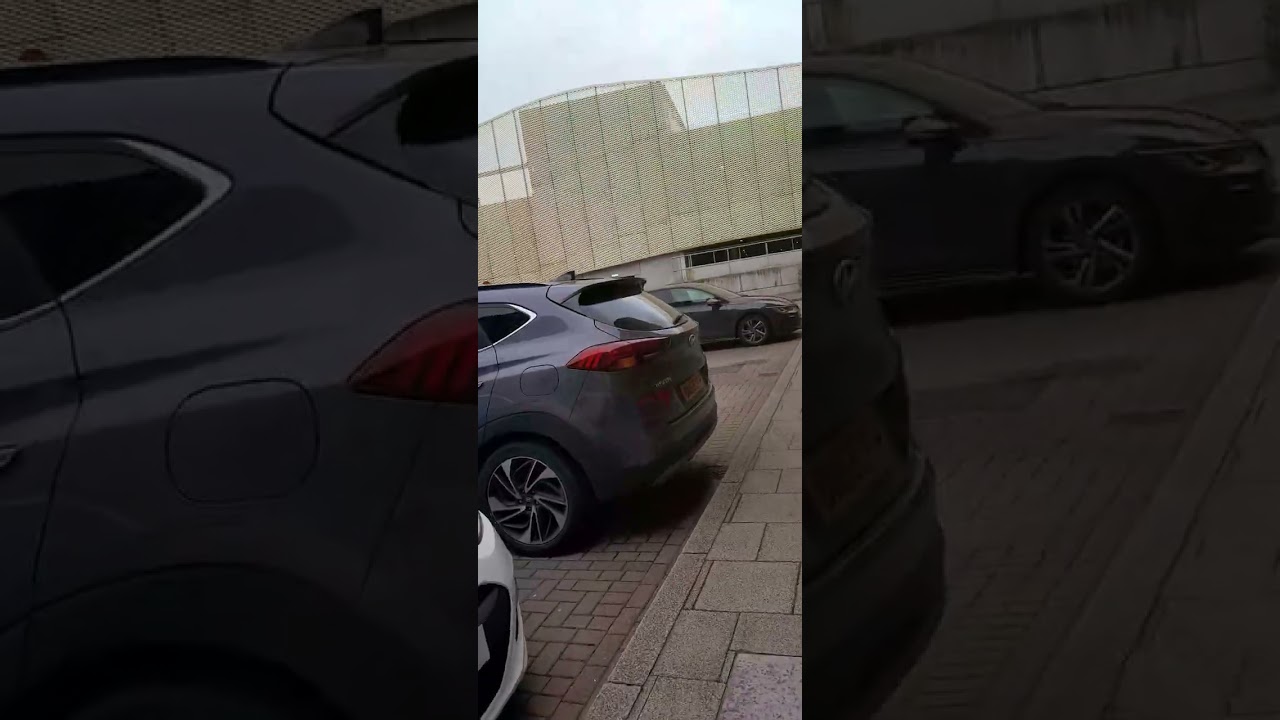 Утренняя прогулка 🚶&zwj;♀️