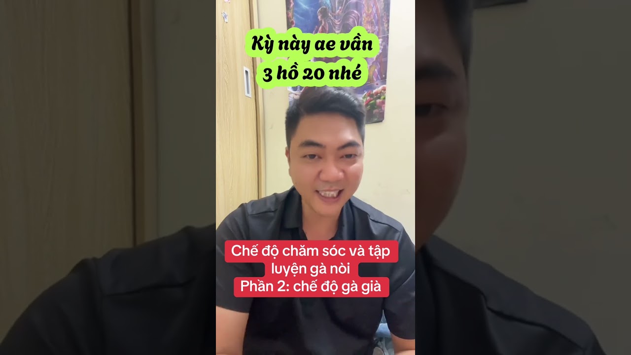 Phần 2: chế độ chăm sóc gà lông 2
