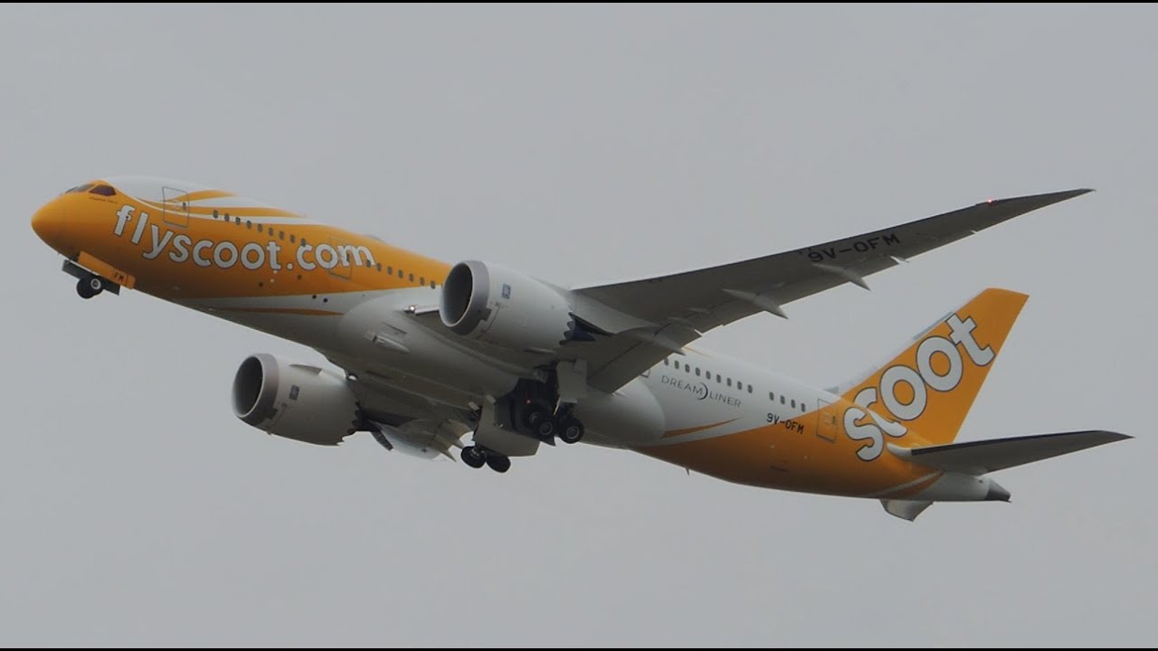 Spotting in PDX through 2020