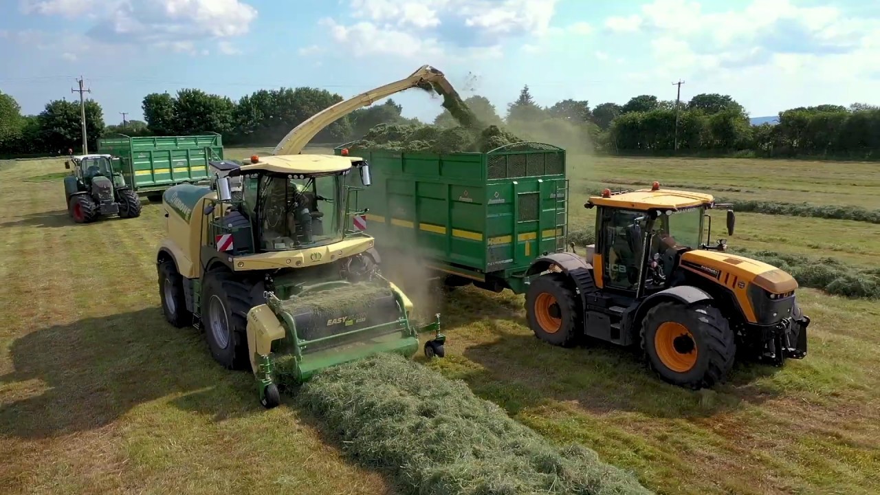 Bryan Bros First Cut!