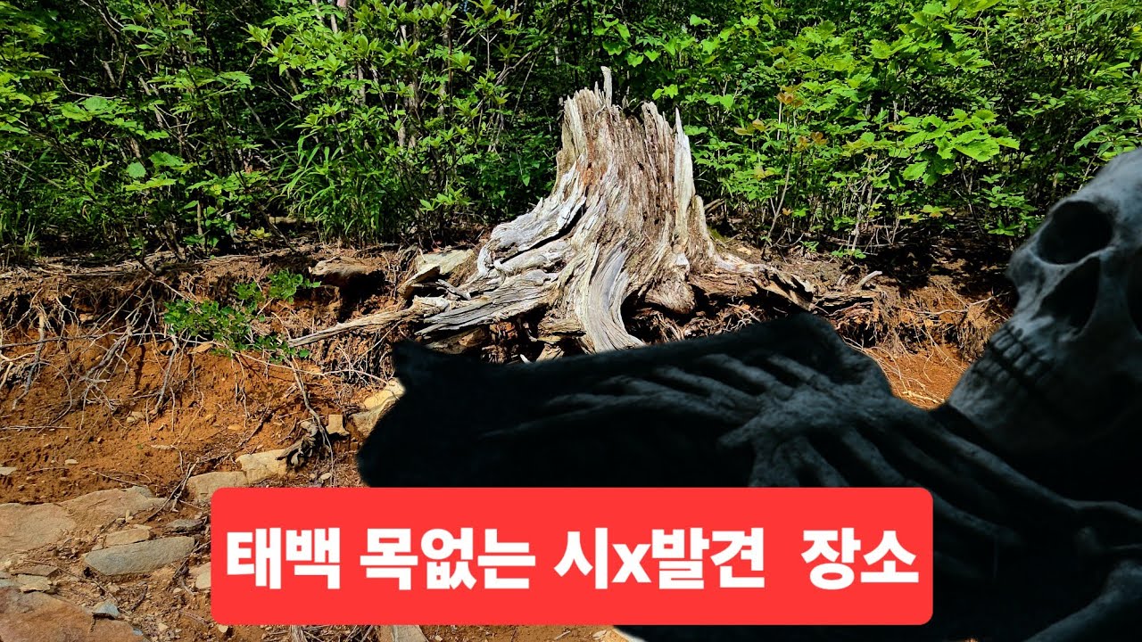 태백 함백산 목없는 시x발견 난리났다 산골주민  이야기 들어보니 안타깝고 무섭네 ᆢ