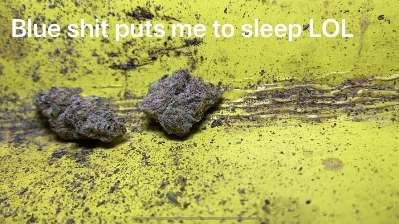 Late Night Blue Berry Pie Weed Review