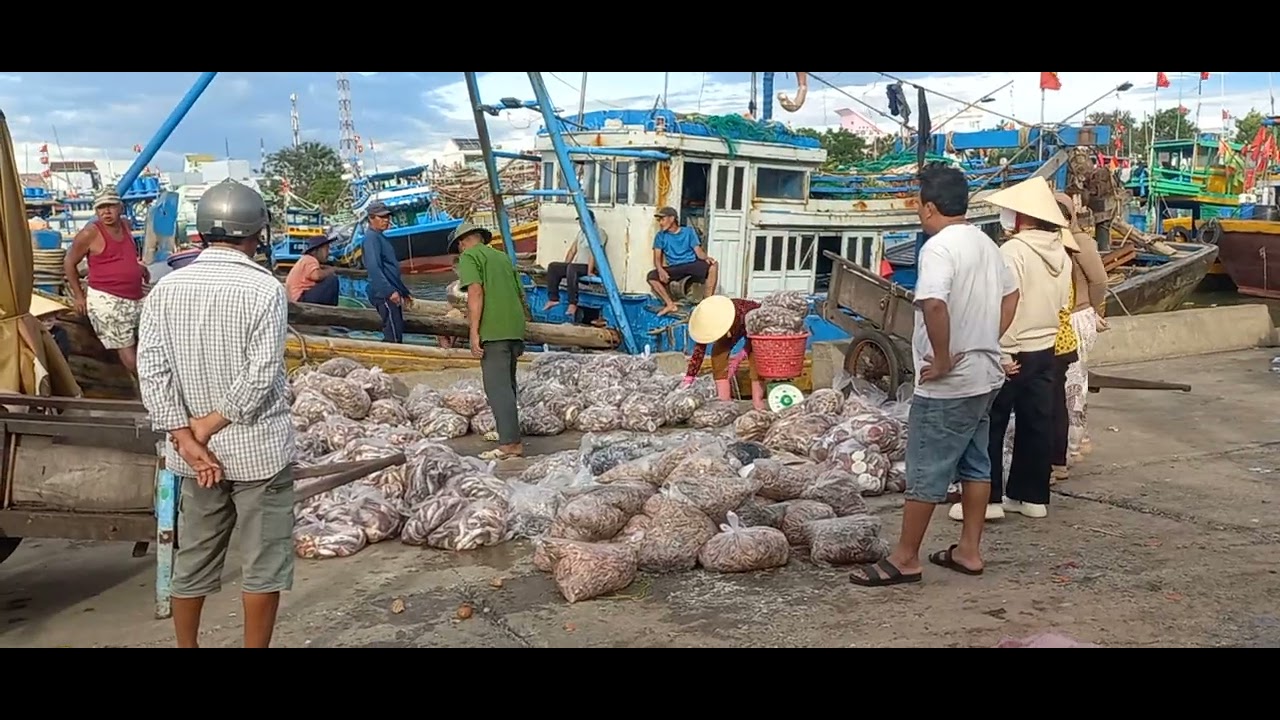 Unloading tons of seafood atCon Cha fishing port, LamDong province 