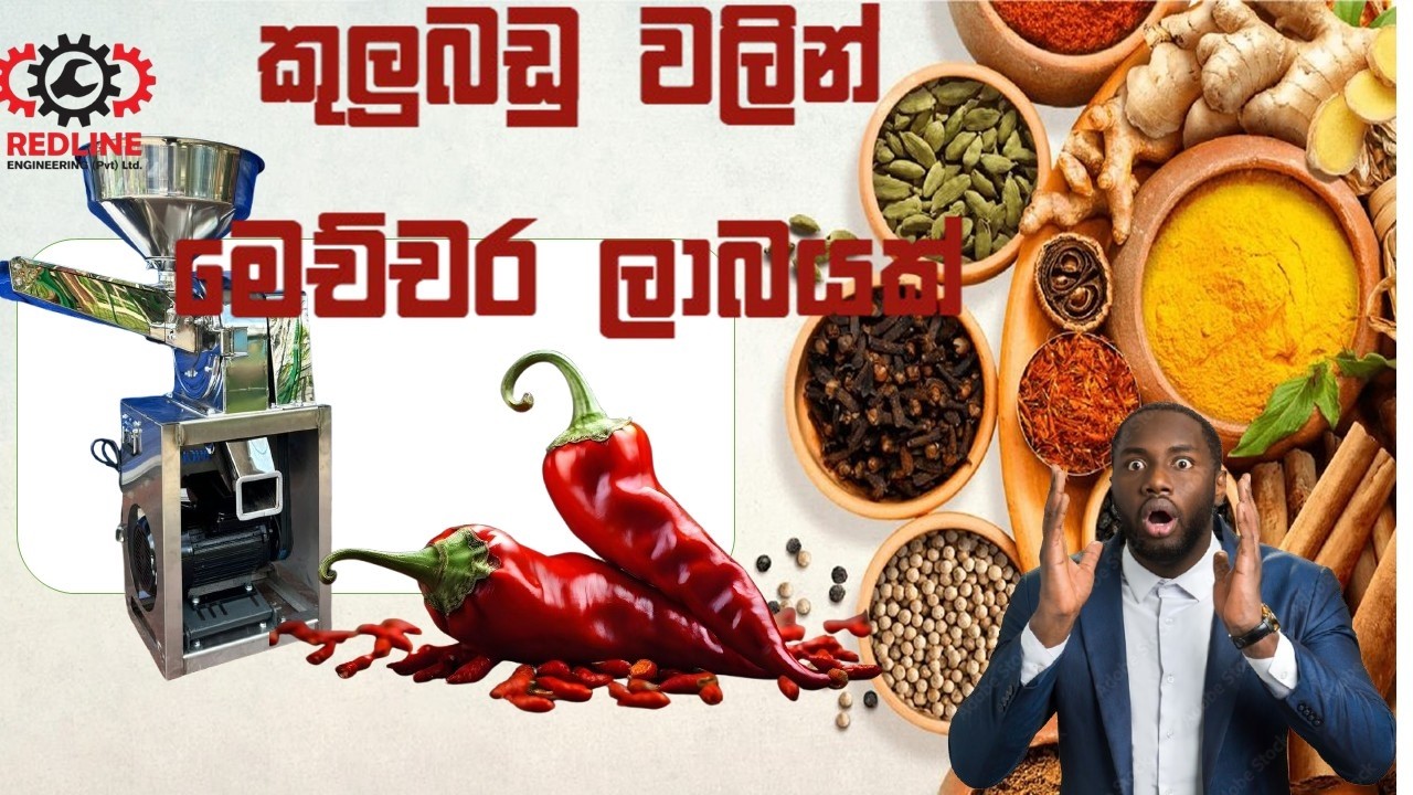 REDLINE INDUSTRY(PVT)LTD පුන්චියට කුලුබඩු ව්‍යපාරයක් නිවසේ සිටම කරමු
