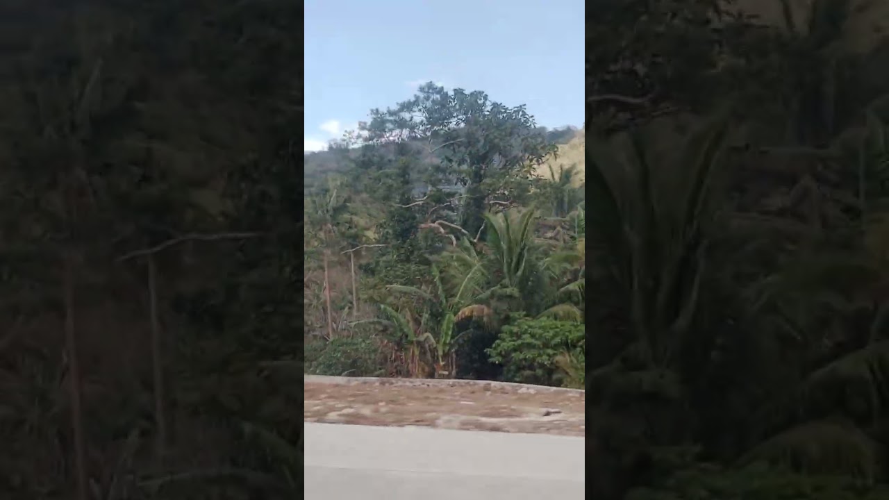 @SMcalambatrainstation