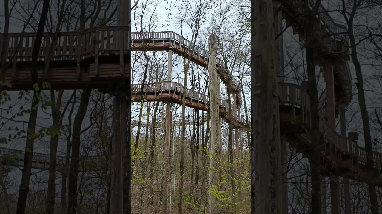 Baumwipfel-Pfad in der Nähe von Frankfurt. 