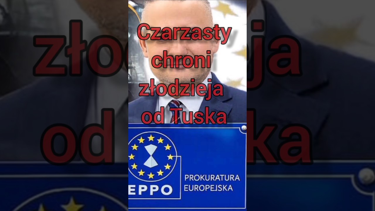 Czarzasty osłania osła z KO oskarżanego o korupcję #polityka #news