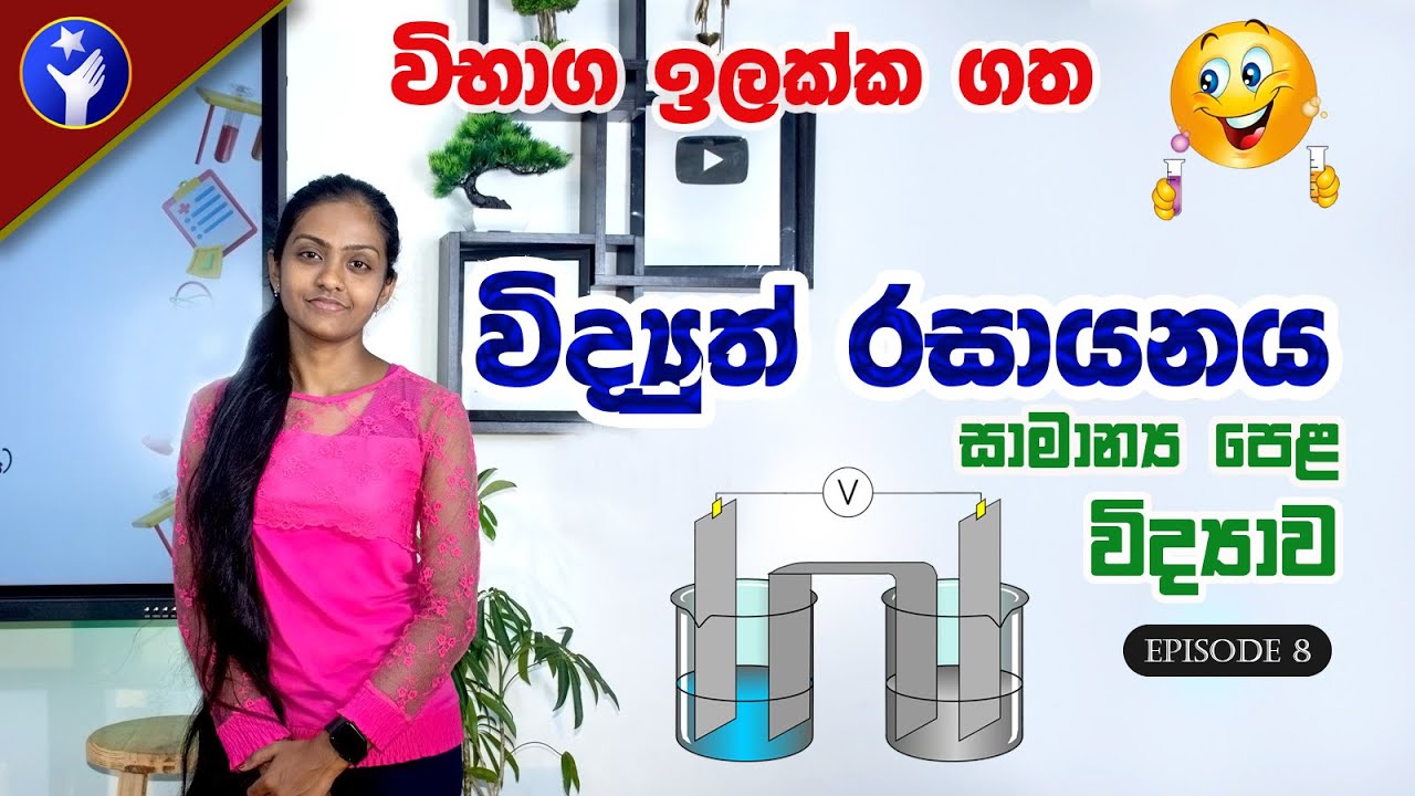 විද්‍යුත් රසායනය 🥰✌️O/L Scinece in Sinhala |  Electrochemistry