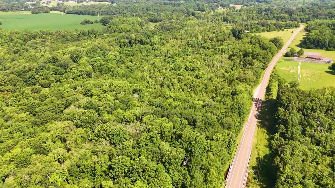 495 TN 22 Alt Jacks Creek, TN Farm