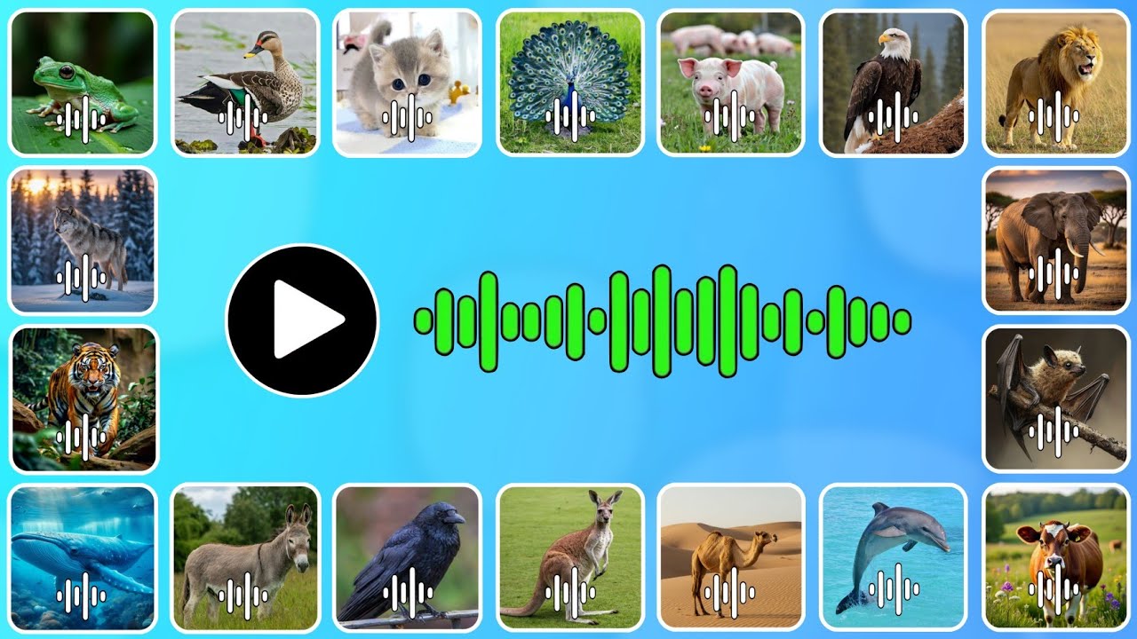 خمن إسم الحيوان من خلال الصوت 🔊 تحدي معرفة أسماء الحيوانات 🐿️ 🧠