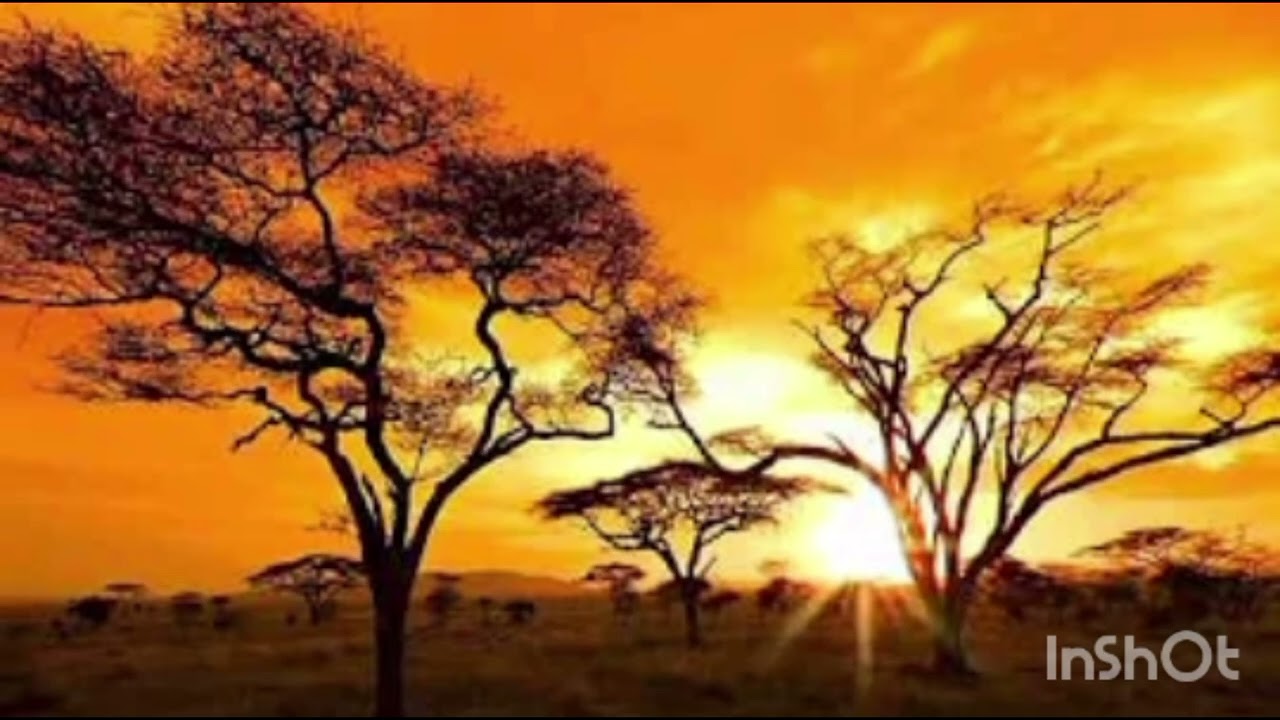 Catherine chanda mayuni lesa uwamweo