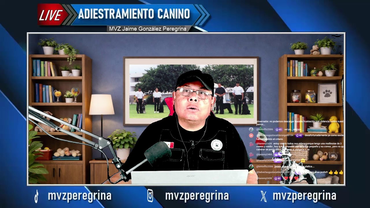 Maltrato