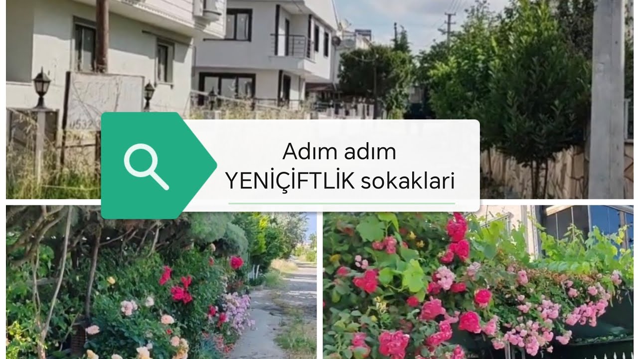 Adım adım yürüyerek sohbet eşliğinde YENİÇİFTLİK mahalle ve sokak çevre tanıtım turu 🏡🌲🏠