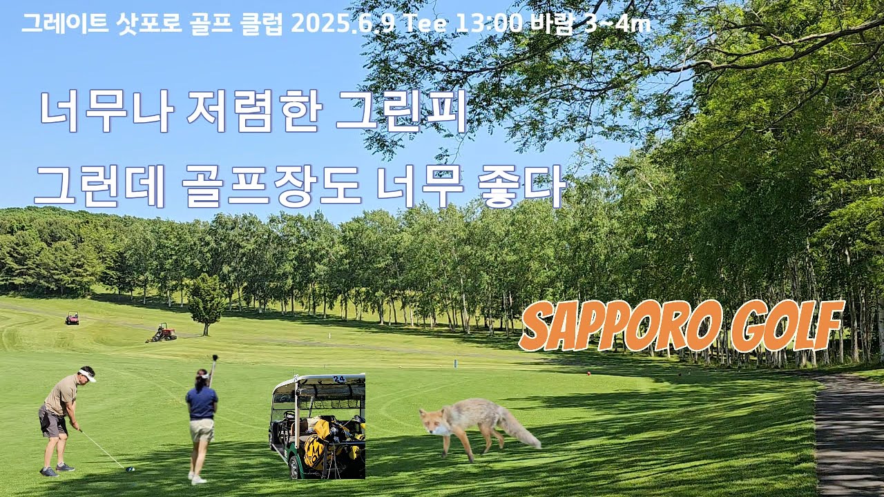 삿포로 골프장, 6월 현재 골프장 상태 , 최고의 가성비 골프장, GREAT SAPPORO GOLF CLUB, 강력 추천 !!