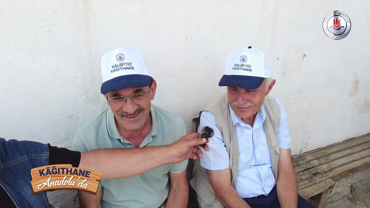 BAYBURT ÇAYIR YOLU KÖYÜ