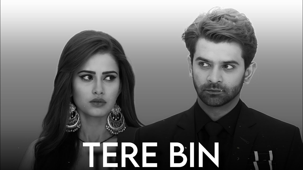 TERE BIN ft. Advay & Chandni #adni #advayandchandni #ipkknd3 #shivanitomar #barunsobti #terebin
