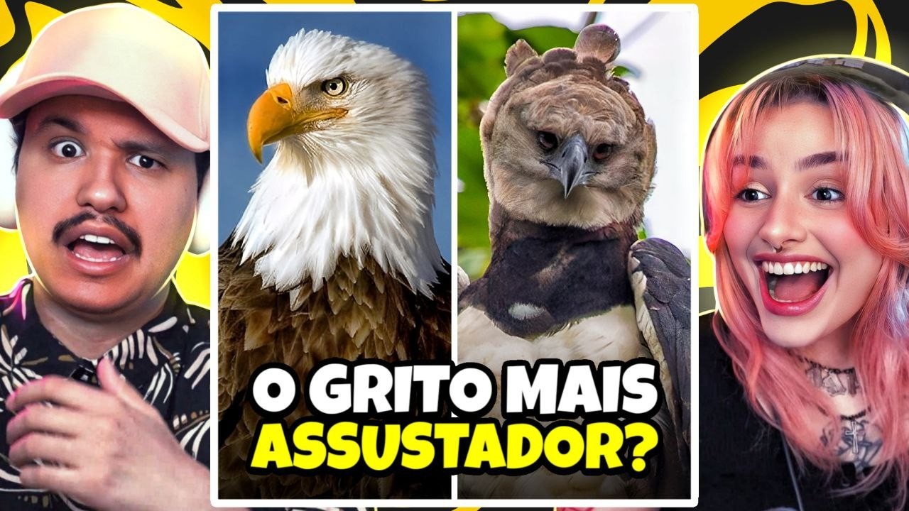 Curiosidades INACREDITÁVEIS dos ANIMAIS