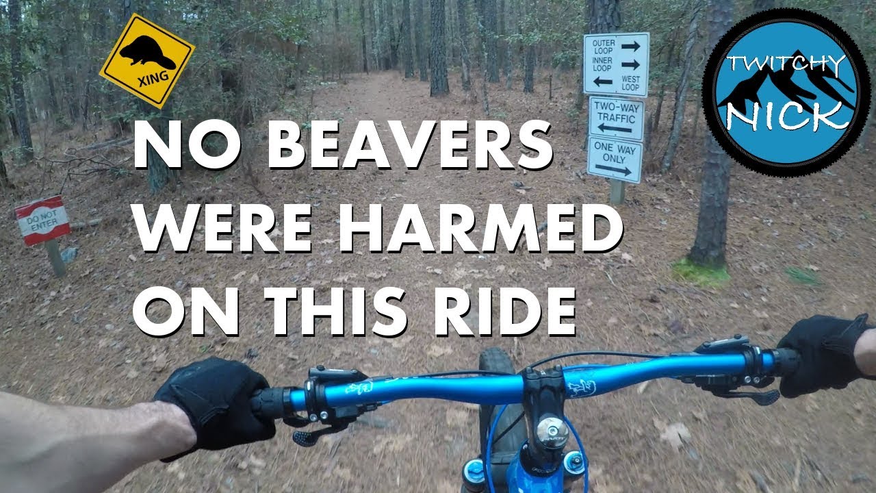 No beavers were harmed at Beaverdam - Falls Lake - Wake Forest, NC