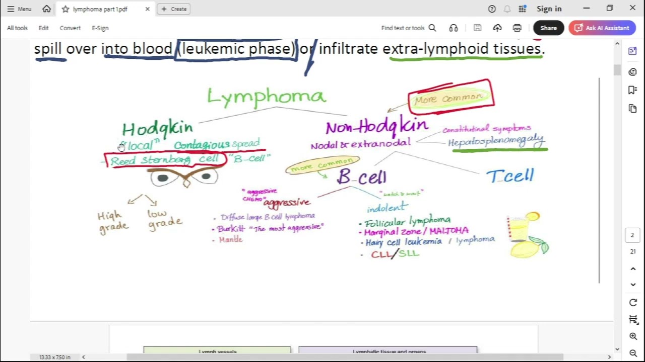 L5 blood ( Neoplasia of lymphoid origin ) MED 3 41