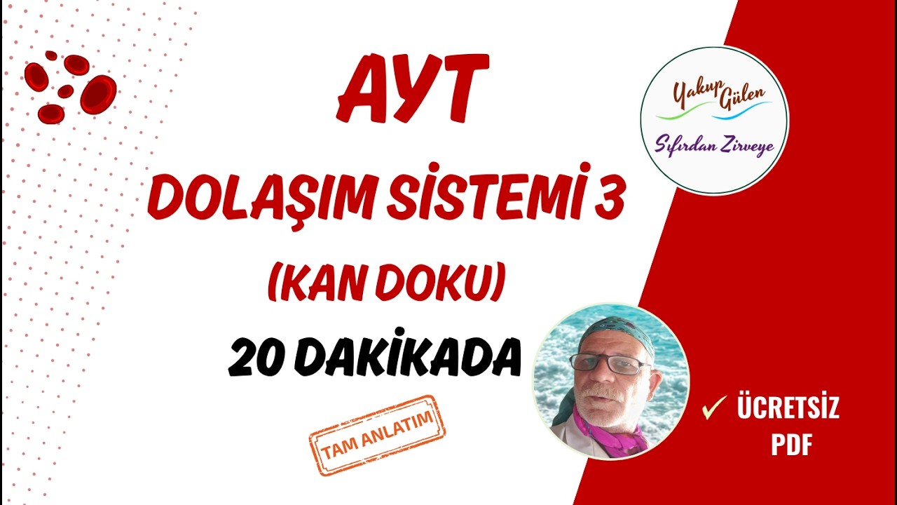2026 AYT Biyoloji | DOLAŞIM SİSTEMİ: KAN DOKU | Sıfırdan Zirveye