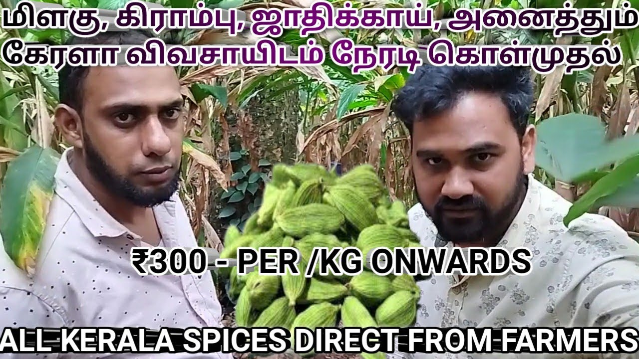 குமுளி ஏலக்காய், மிளகு, ஜாதிக்காய், ஜாதிப்பத்திரி, கிராம்பு, கள்பாசி,| ALL KERALA SPICES DIRECT SALE