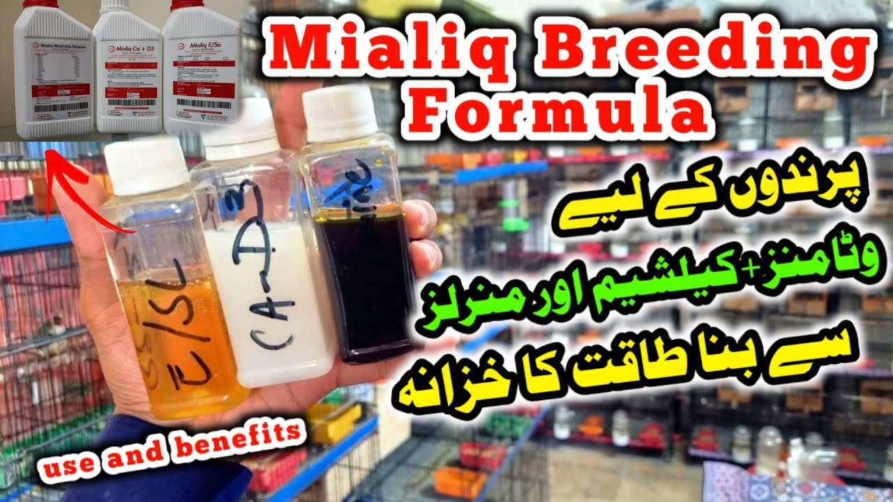 Mialiq best Breeding Formula |love bird ka liya best vitamins calcium or minerals | #gouldianfinch