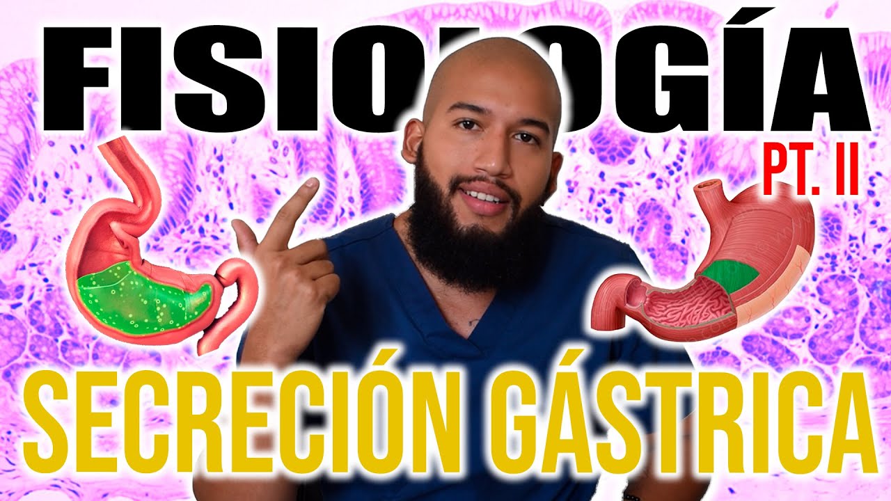 FISIOLOGÍA - SECRECIÓN GÁSTRICA Pt. II (MOCO, BICARBONATO, PEPSINA, FACTOR INTRÌNSECO, REGULACION)