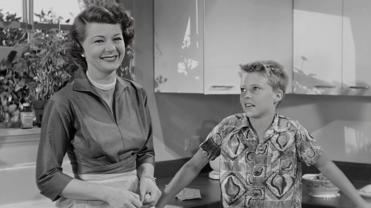 The Adventures of Ozzie and Harriet (1952) 'The Pills&rsquo;