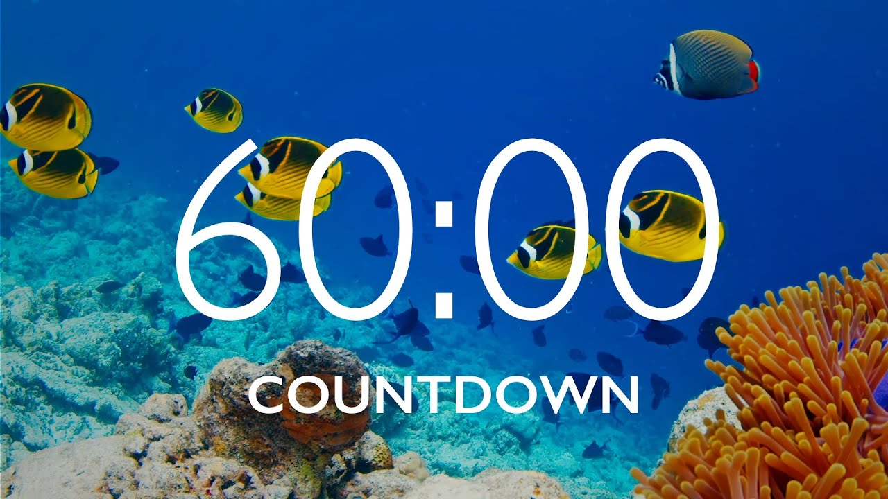 60 Minute Timer with Relaxing Music and Alarm 🎵⏰