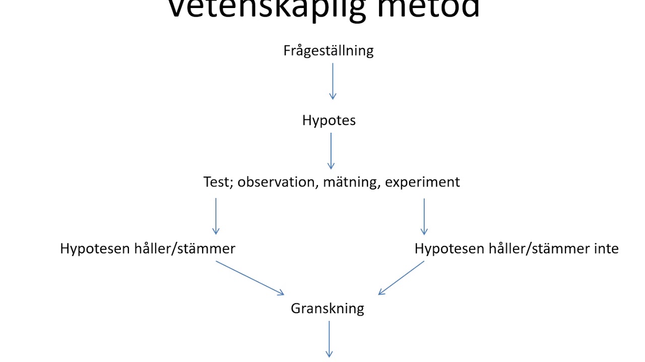 vetenskaplig metod