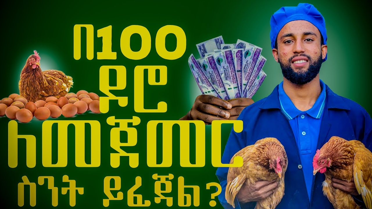 በ100 ዶሮ ለመጀመር ስንት ብር ይፈጃል ሙሉ የወጪ ዝርዝር|100 layer chicken cost|