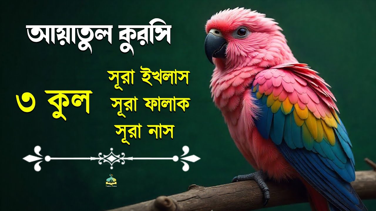 আয়াতুল কুরসি ও ৩ কুল_সূরা ইখলাস_সূরা ফালাক_সূরা নাস l প্রতিদিনের বিশেষ আমল। Ayatul Kursi And 3 Qul।