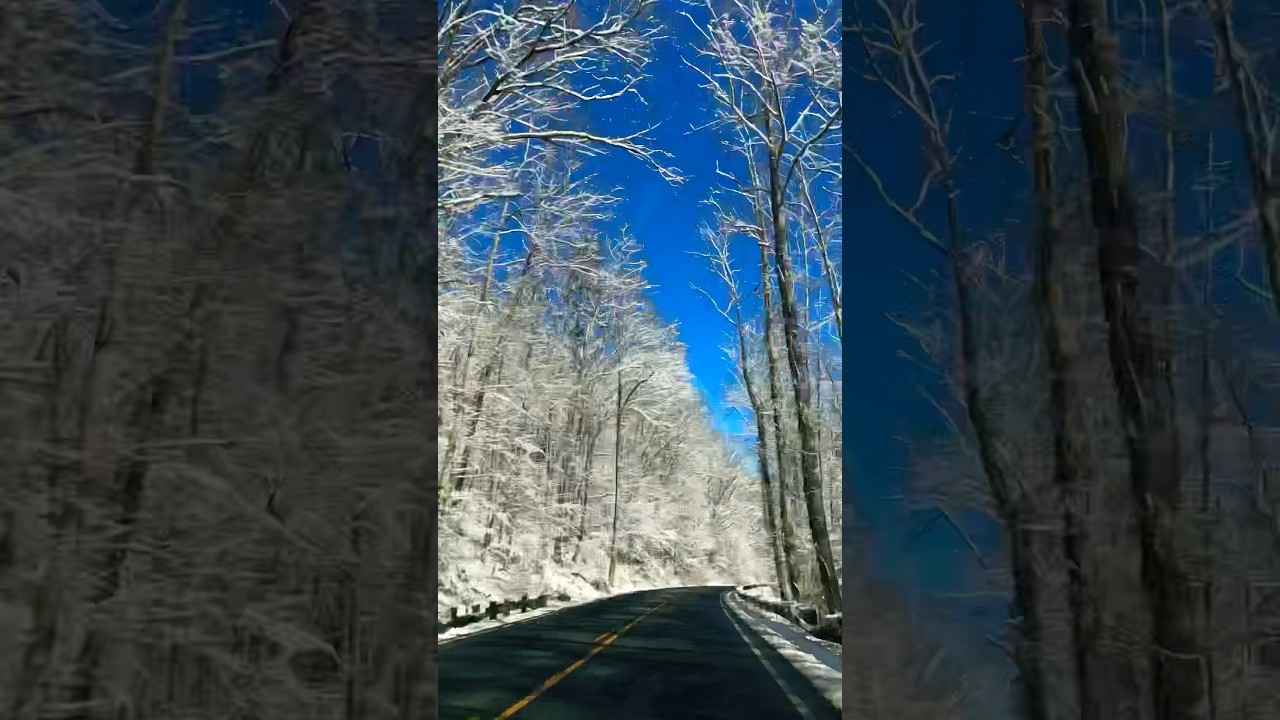 Blue Ridge Mountain Winter #blueridge #driving #timelapse #mountains