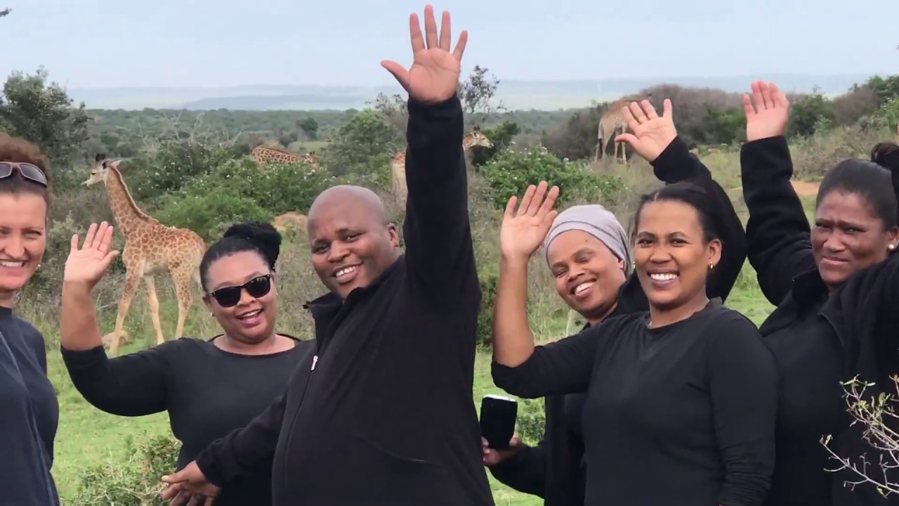 Giraffe Walking Safaris and Buffalo Feeding Tours - De Old Drift Addo