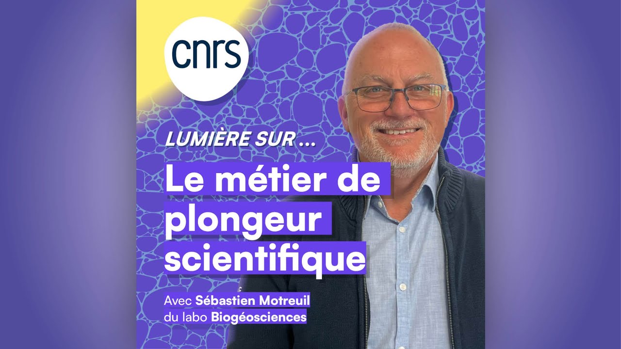 Lumière sur... Le métier de plongeur scientifique