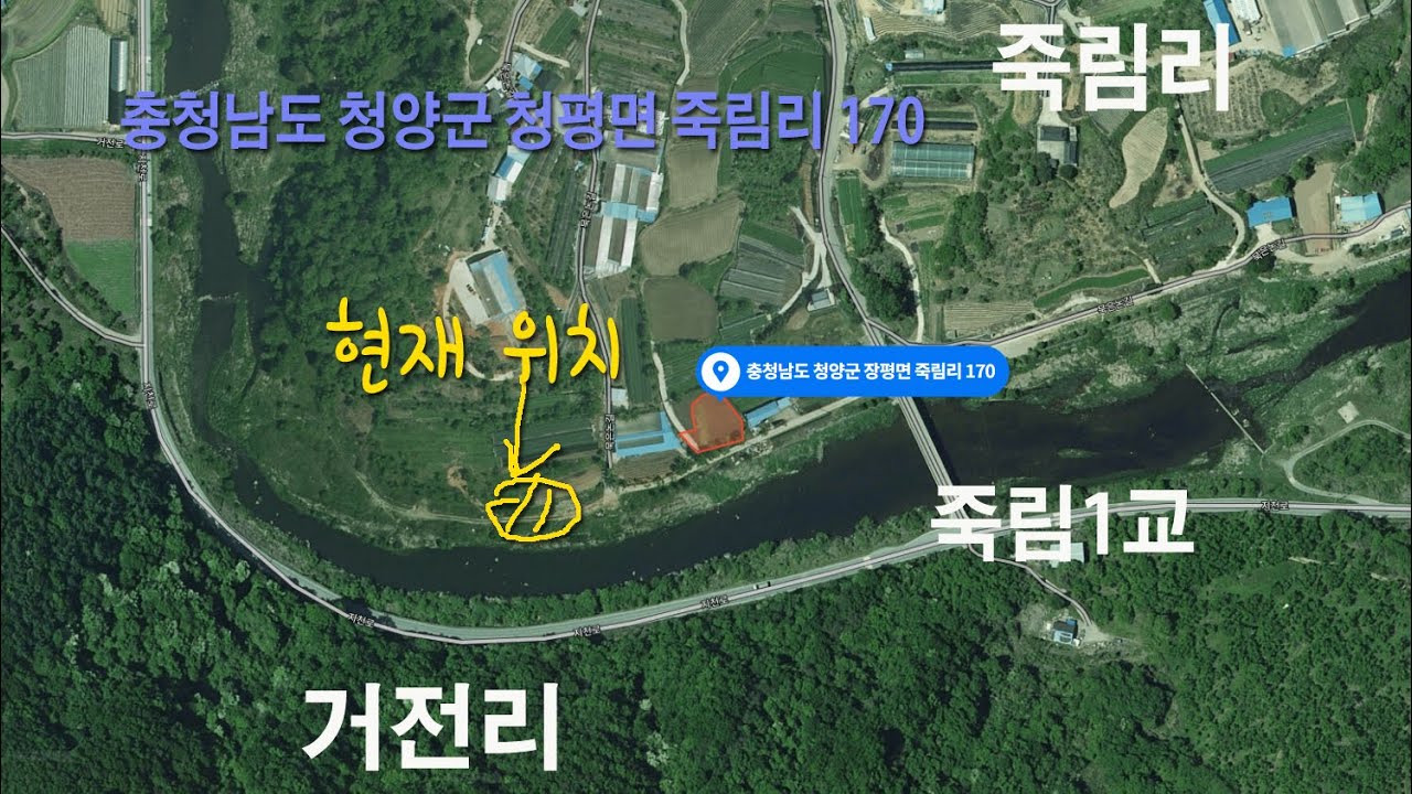 청양 지천 쏘가리/ 죽림1교 상류