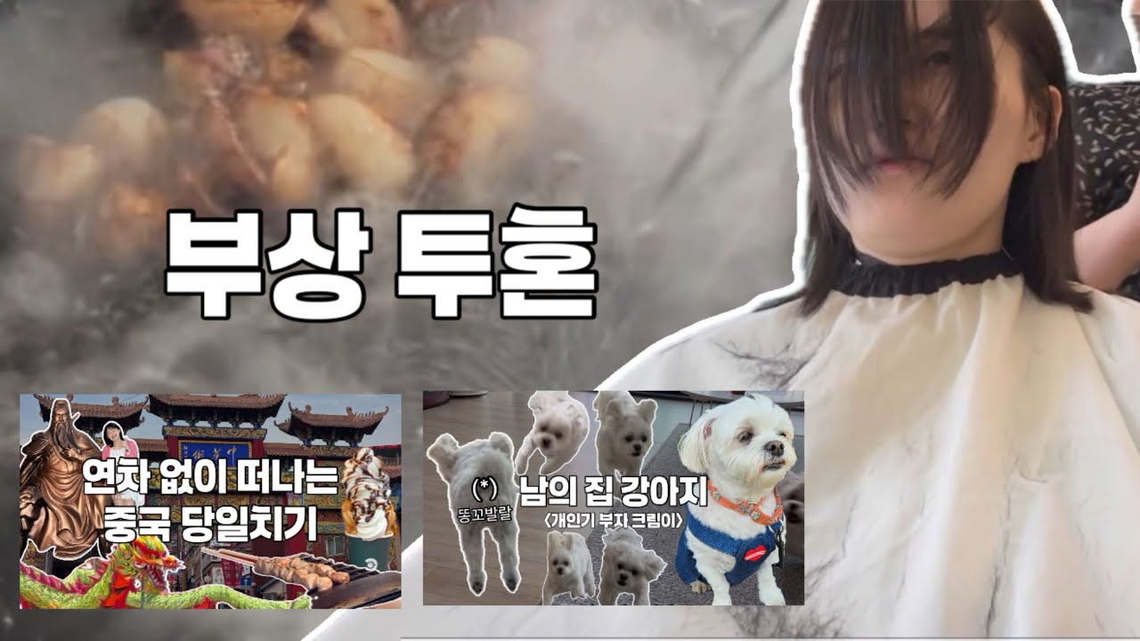 아파도 브이로그는 찍어야지. 왜? 난 브이로거니까.