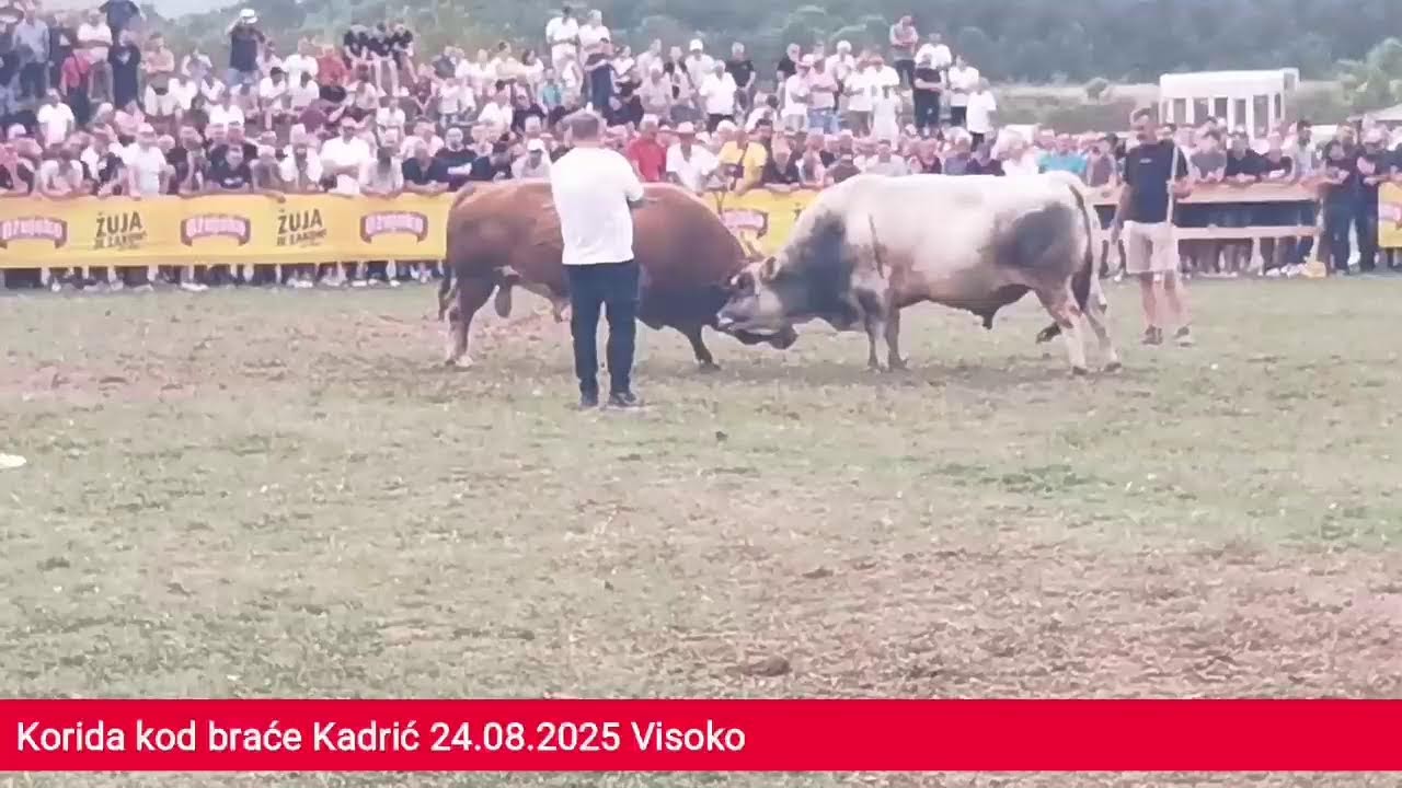 Uživo drugi krug Grude