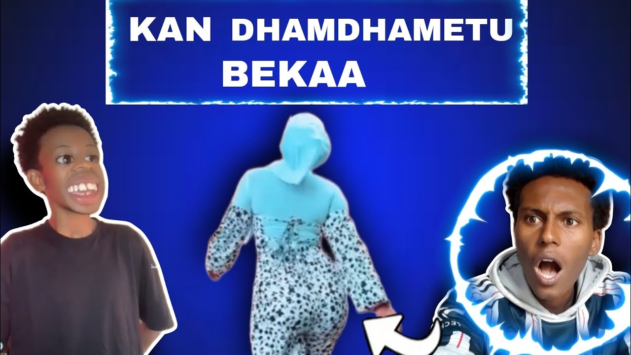 Qosaawan Afaan Oromoo //kan dhamdhametu bekaa //@abrelohd  @AleTube1st @OmNomStories