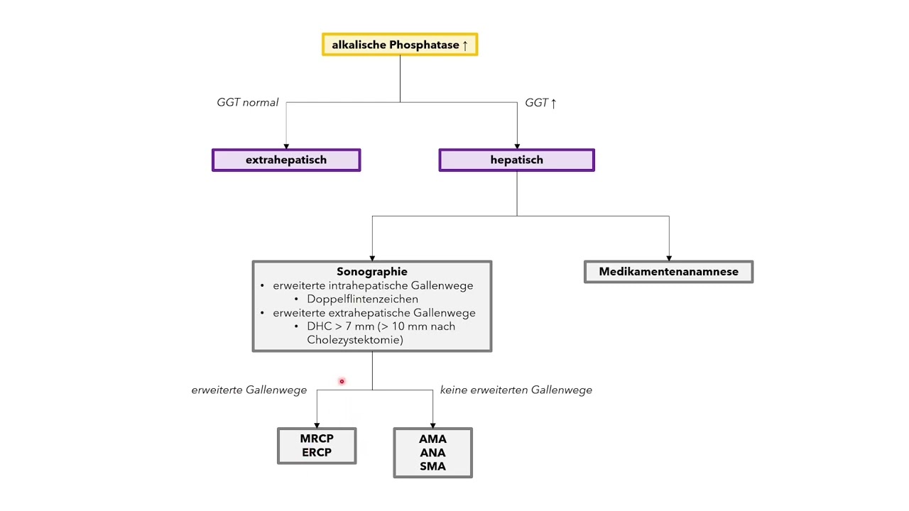 alkalische Phosphatase- und Gamma-GT-Erh&ouml;hung - ein diagnostischer Algorithmus