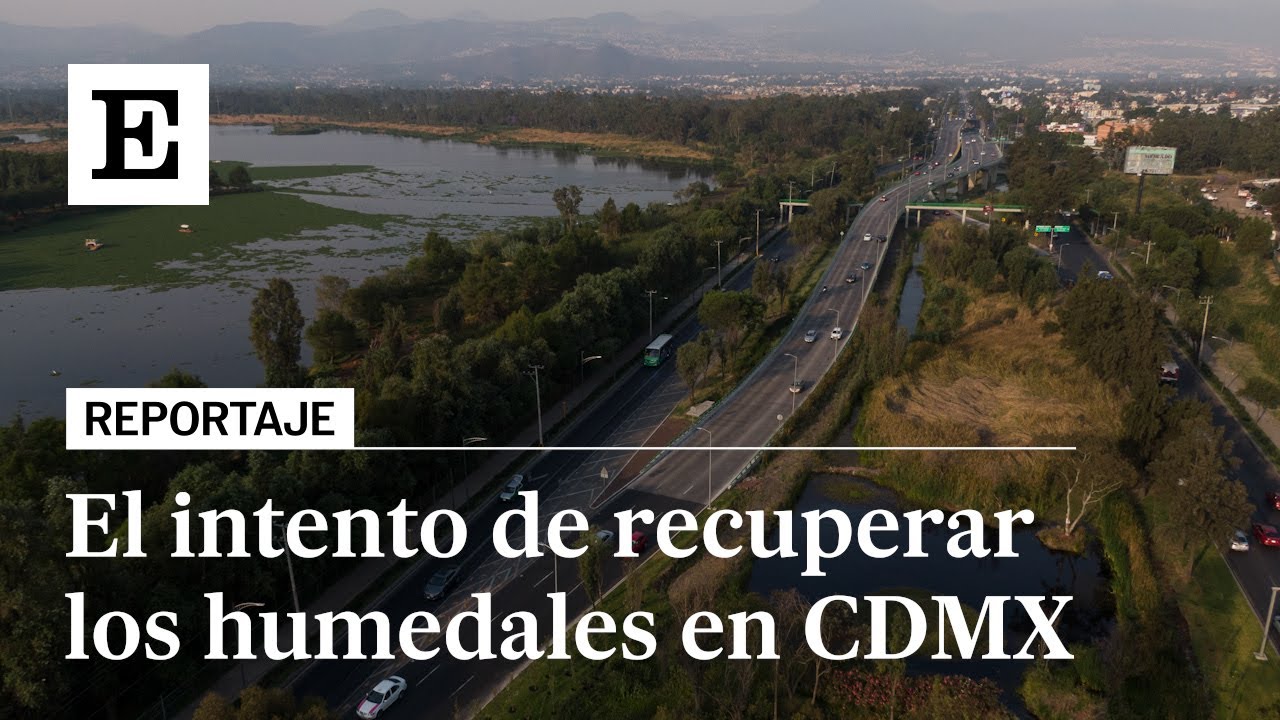 HUMEDALES recreados en Ciudad de México | El PAÍS