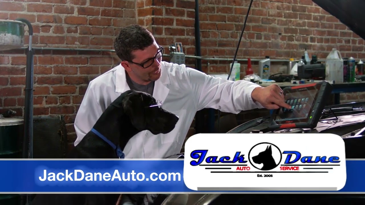 Jack Dane BIO V1