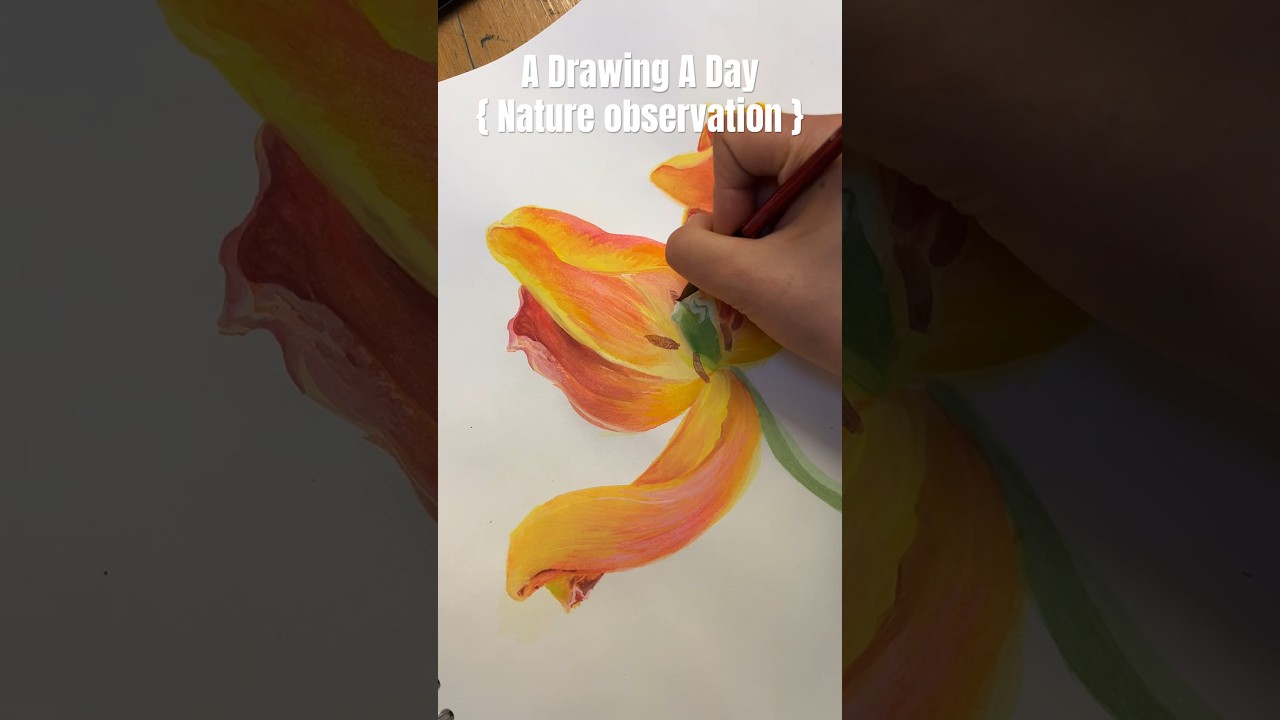 A Drawing a Day { Nature Observation} Withered petals #art #painting #artheals #arttherapy #nature