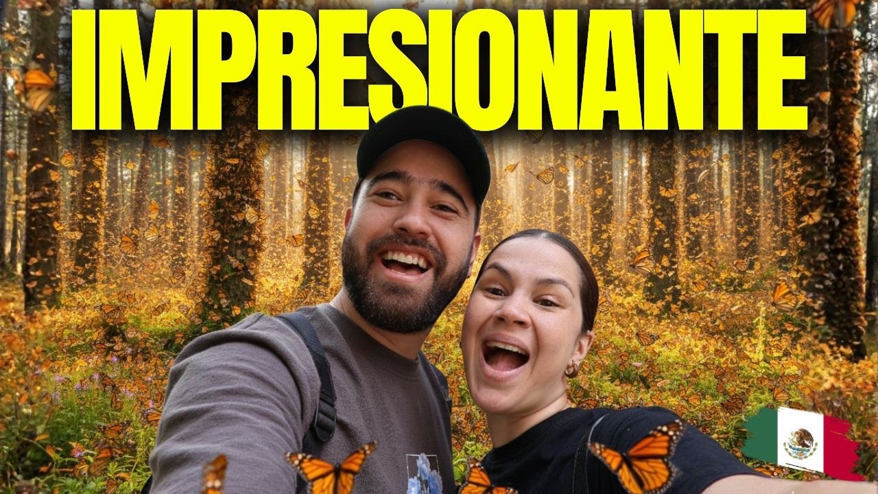 La realidad de visitar el Santuario de la Mariposa Monarca en México 🦋